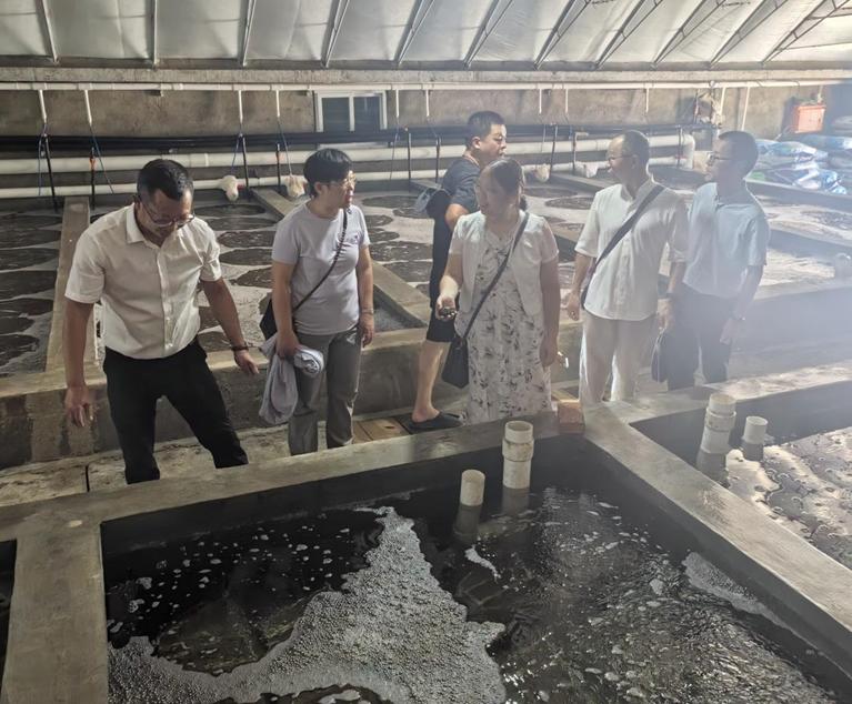 科技赋能，绿色养殖 福建科特派携手霞浦企业推动海参产业链升级与室内环境治理